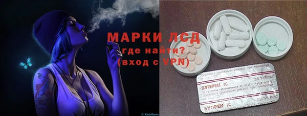ПСИЛОЦИБИНОВЫЕ ГРИБЫ Медвежьегорск