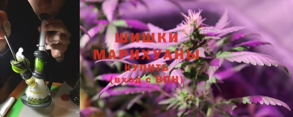 гидра Магас