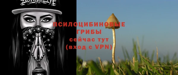 круглые Анива