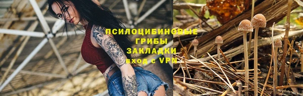 амф Медногорск