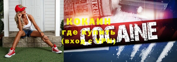 ПСИЛОЦИБИНОВЫЕ ГРИБЫ Медвежьегорск