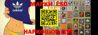 шишки Гатчина