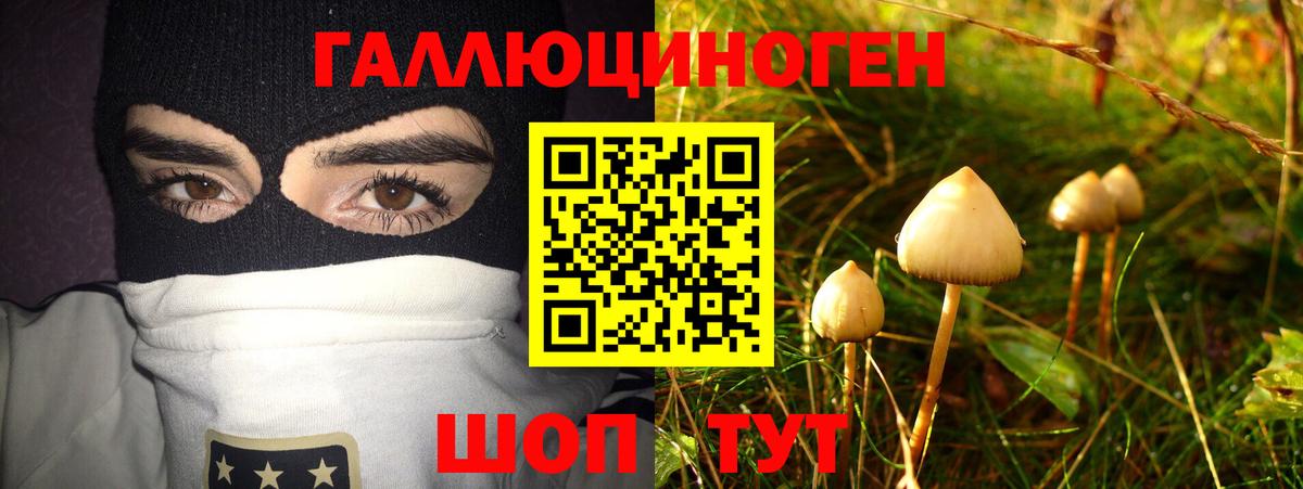 Псилоцибиновые грибы мицелий  купить  сайты  Еманжелинск  Псилоцибиновые грибы прущие грибы  Вход с VPN 