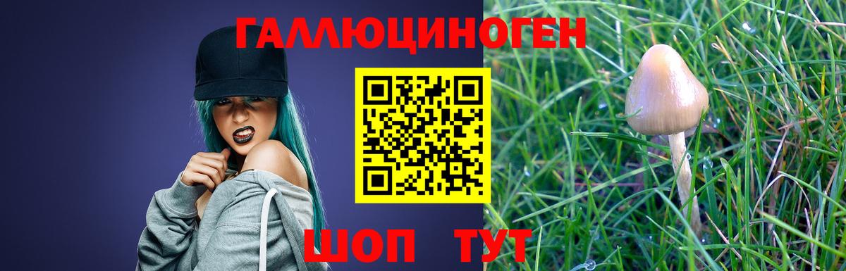 купить  цена  Галлюциногенные грибы мицелий  Еманжелинск  Псилоцибиновые грибы мицелий 